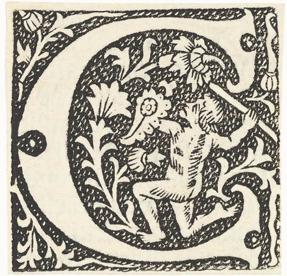 389_CapC_ForWebsiteSizing_550heightJpg7